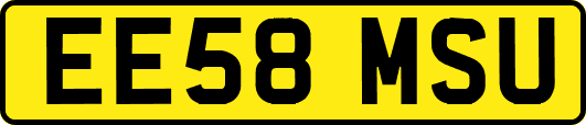 EE58MSU