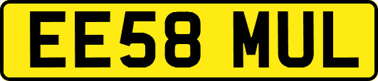 EE58MUL