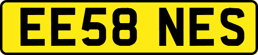 EE58NES