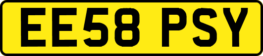 EE58PSY