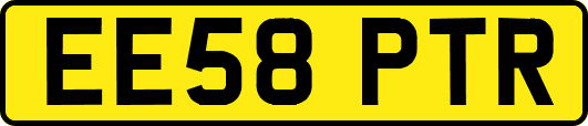 EE58PTR
