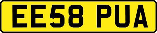 EE58PUA