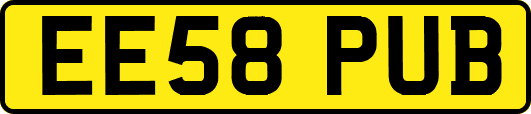 EE58PUB