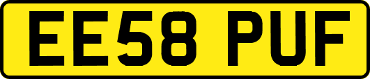 EE58PUF