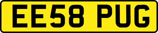 EE58PUG