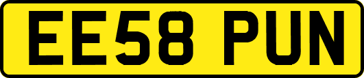 EE58PUN