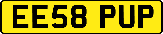 EE58PUP