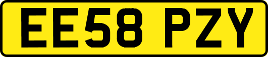 EE58PZY
