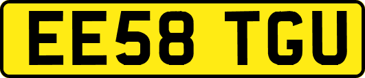 EE58TGU