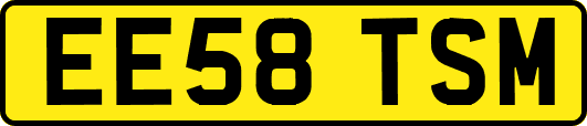 EE58TSM