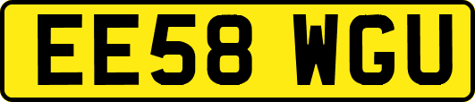 EE58WGU
