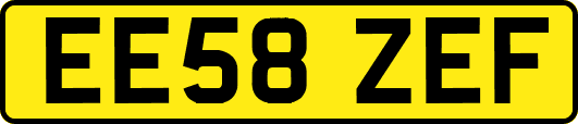 EE58ZEF