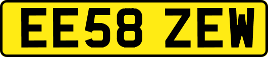EE58ZEW