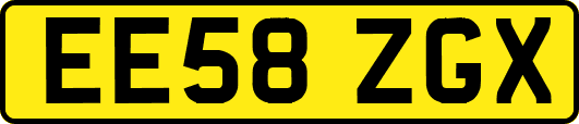 EE58ZGX