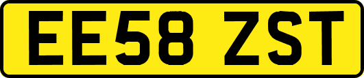 EE58ZST