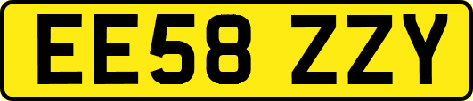 EE58ZZY