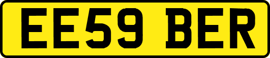 EE59BER