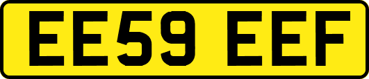 EE59EEF