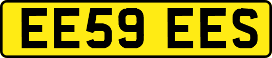 EE59EES