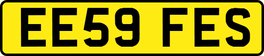 EE59FES