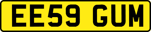 EE59GUM