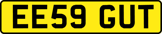 EE59GUT