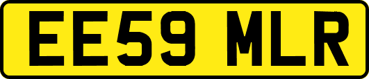 EE59MLR
