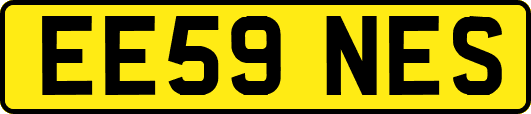 EE59NES