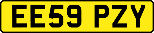 EE59PZY