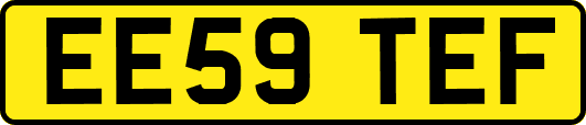 EE59TEF