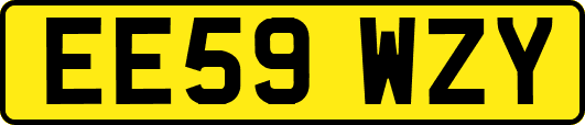EE59WZY