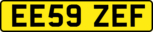 EE59ZEF