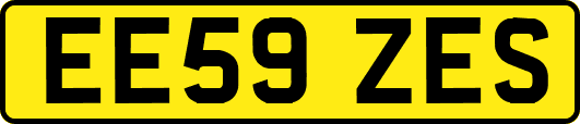 EE59ZES
