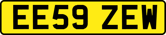 EE59ZEW