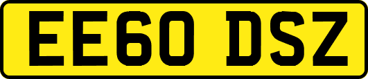 EE60DSZ