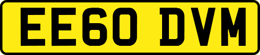 EE60DVM