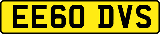 EE60DVS