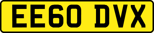 EE60DVX