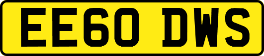 EE60DWS