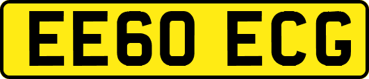 EE60ECG