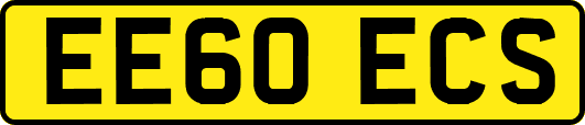EE60ECS