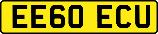 EE60ECU