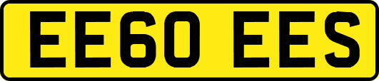 EE60EES