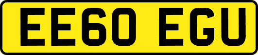 EE60EGU