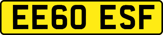 EE60ESF
