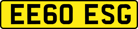 EE60ESG