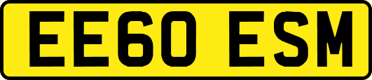 EE60ESM