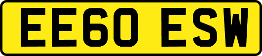 EE60ESW