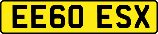 EE60ESX