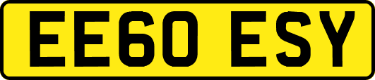 EE60ESY